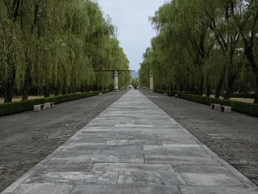 树荫之间的十三陵神路
